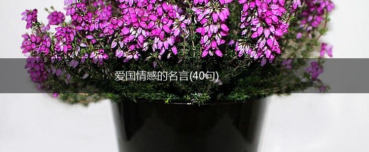 爱国情感的名言(40句),第1张