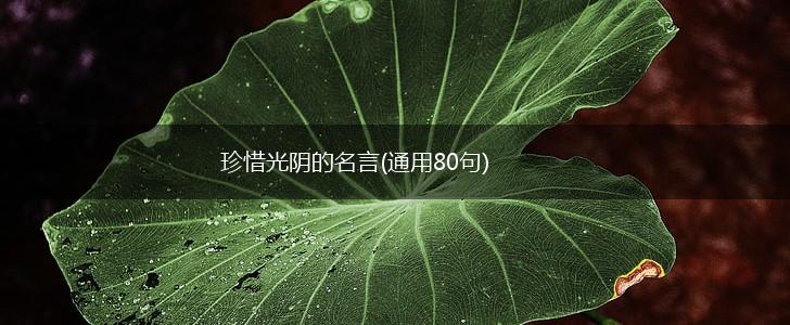 珍惜光阴的名言(通用80句),第1张