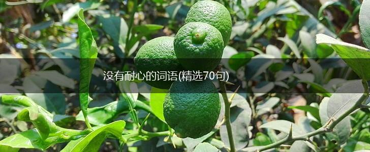 没有耐心的词语(精选70句),第1张