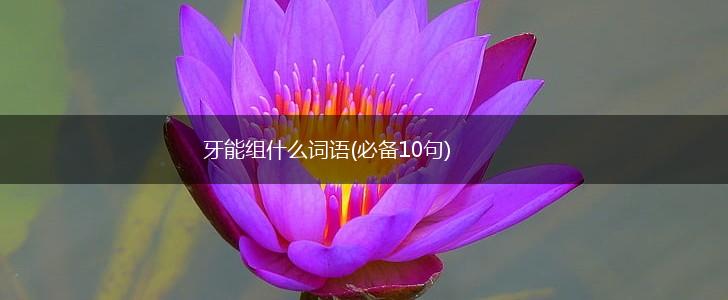 牙能组什么词语(必备10句),第1张