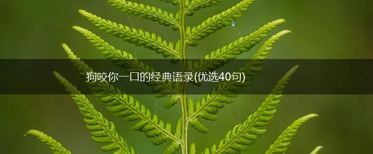 狗咬你一口的经典语录(优选40句),第1张
