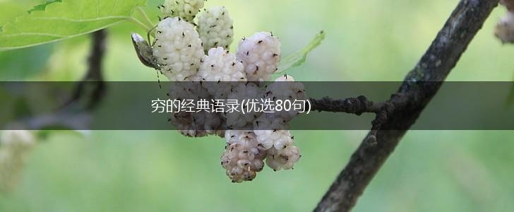 穷的经典语录(优选80句),第1张