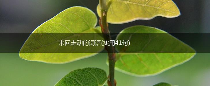 来回走动的词语(实用41句),第1张