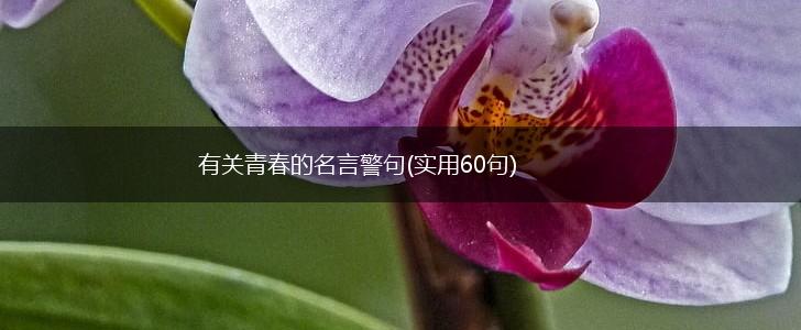 有关青春的名言警句(实用60句),第1张