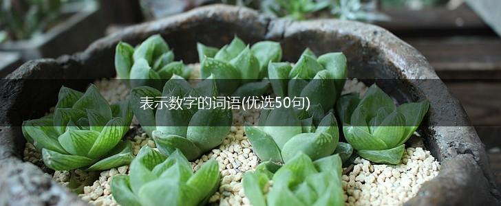 表示数字的词语(优选50句),第1张 表示数字的词语(优选50句),第1张