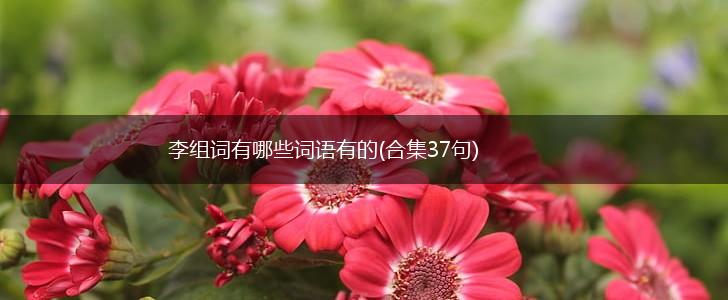 李组词有哪些词语有的(合集37句),第1张