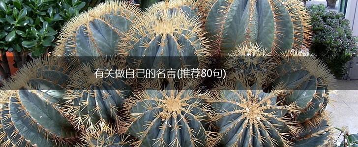 有关做自己的名言(推荐80句),第1张 有关做自己的名言(推荐80句),第1张