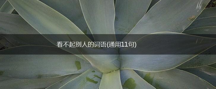 看不起别人的词语(通用11句),第1张 看不起别人的词语(通用11句),第1张