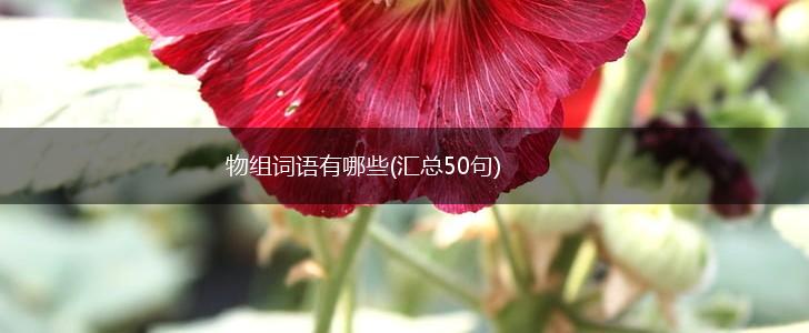 物组词语有哪些(汇总50句),第1张