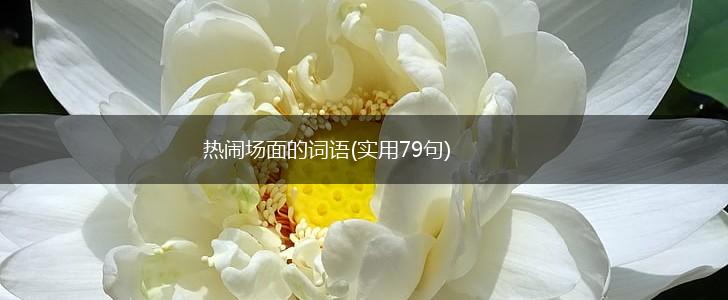 热闹场面的词语(实用79句),第1张