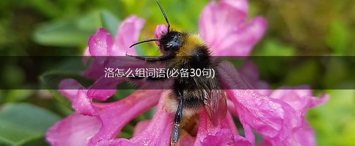 洛怎么组词语(必备30句),第1张