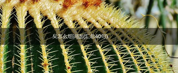 矣怎么组词语(汇总40句),第1张