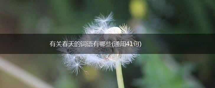 有关春天的词语有哪些(通用41句),第1张 有关春天的词语有哪些(通用41句),第1张