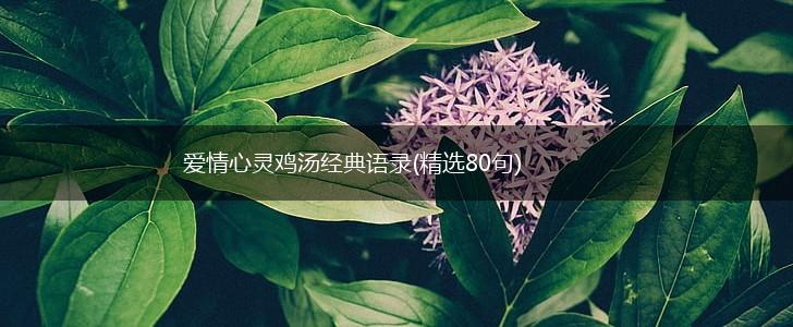 爱情心灵鸡汤经典语录(精选80句),第1张