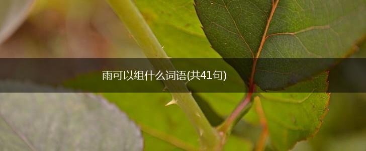 雨可以组什么词语(共41句),第1张