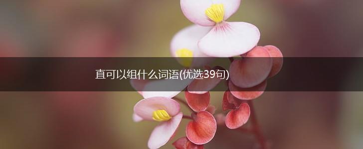 直可以组什么词语(优选39句),第1张