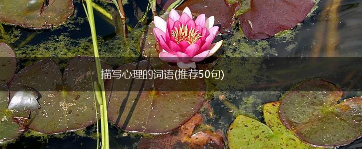 描写心理的词语(推荐50句),第1张