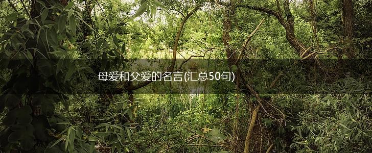 母爱和父爱的名言(汇总50句),第1张