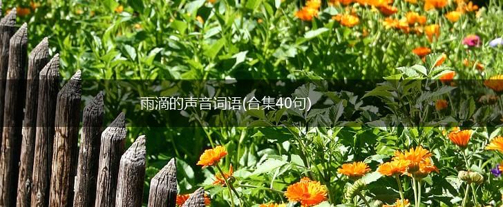 雨滴的声音词语(合集40句),第1张
