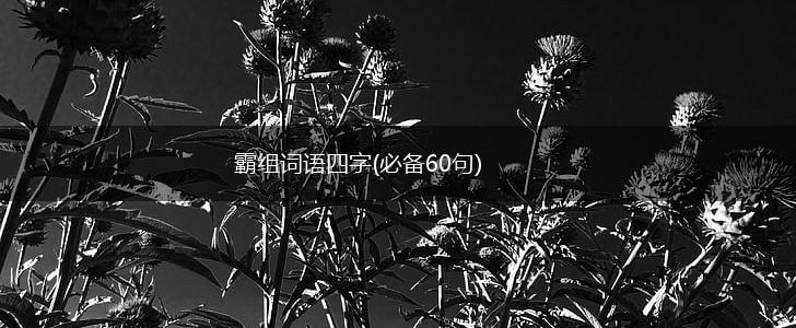 霸组词语四字(必备60句),第1张