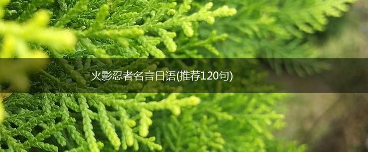 火影忍者名言日语(推荐120句),第1张 火影忍者名言日语(推荐120句),第1张