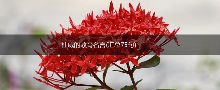 杜威的教育名言(汇总75句),第1张