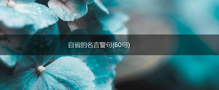 自省的名言警句(60句),第1张 自省的名言警句(60句),第1张
