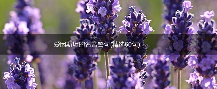 爱因斯坦的名言警句(精选60句),第1张