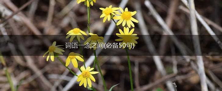 词语一念之间(必备50句),第1张