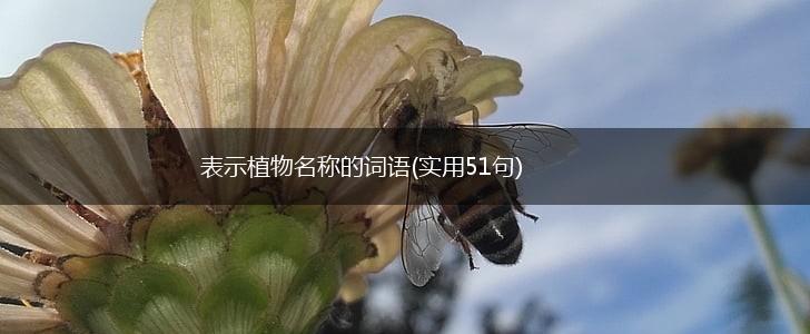 表示植物名称的词语(实用51句),第1张 表示植物名称的词语(实用51句),第1张