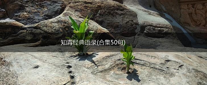 知青经典语录(合集50句),第1张
