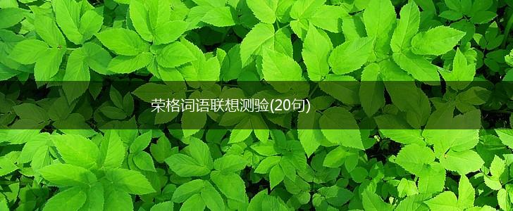 荣格词语联想测验(20句),第1张 荣格词语联想测验(20句),第1张