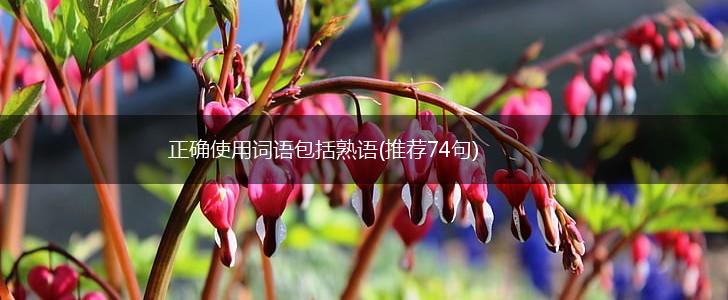 正确使用词语包括熟语(推荐74句),第1张