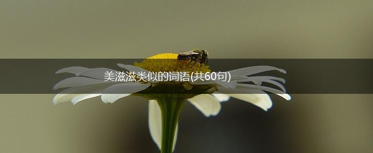 美滋滋类似的词语(共60句),第1张 美滋滋类似的词语(共60句),第1张