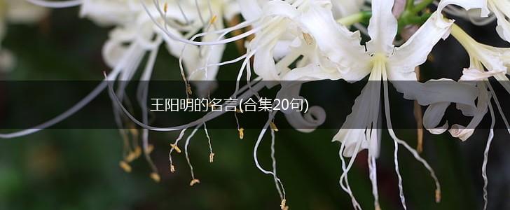 王阳明的名言(合集20句),第1张