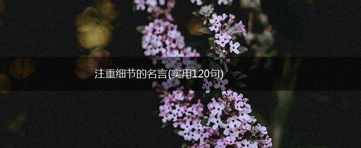 注重细节的名言(实用120句),第1张