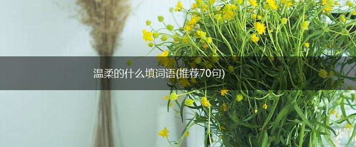 温柔的什么填词语(推荐70句),第1张