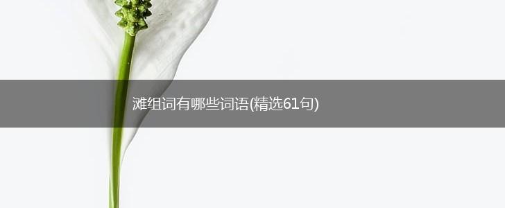 滩组词有哪些词语(精选61句),第1张