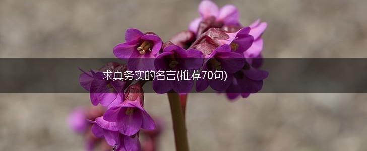 求真务实的名言(推荐70句),第1张