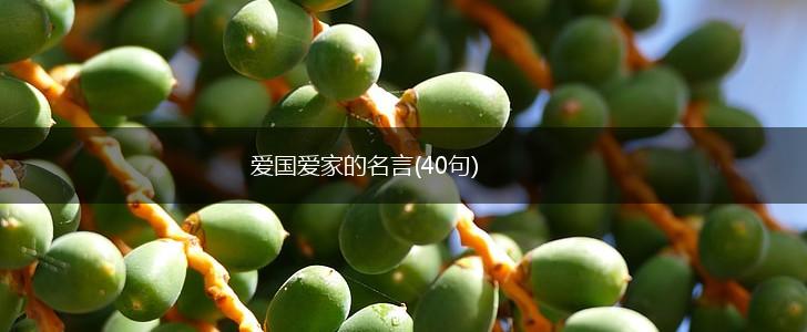 爱国爱家的名言(40句),第1张