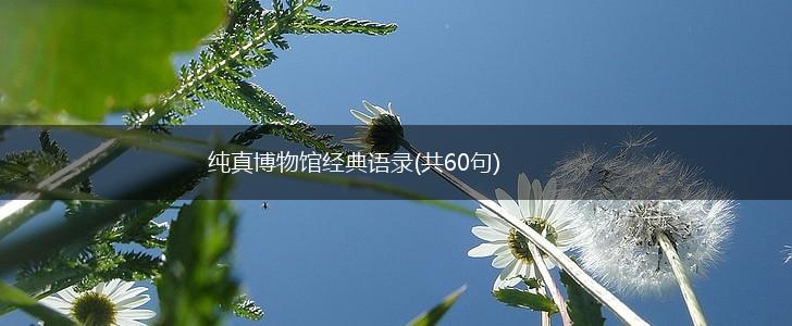 纯真博物馆经典语录(共60句),第1张
