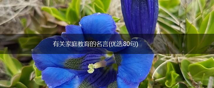 有关家庭教育的名言(优选80句),第1张 有关家庭教育的名言(优选80句),第1张