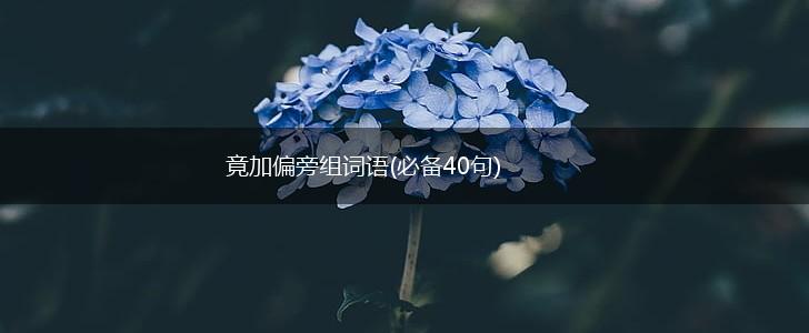 竟加偏旁组词语(必备40句),第1张 竟加偏旁组词语(必备40句),第1张