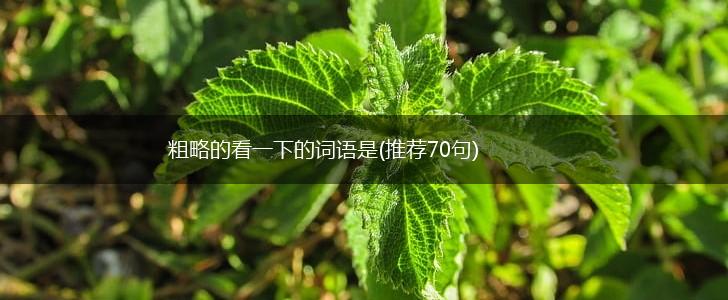 粗略的看一下的词语是(推荐70句),第1张