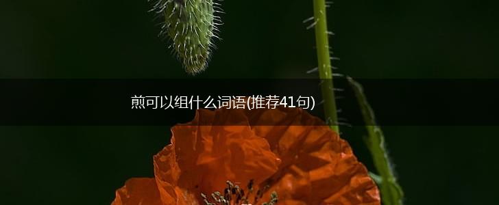 煎可以组什么词语(推荐41句),第1张