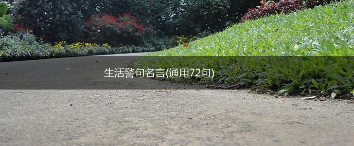 生活警句名言(通用72句),第1张 生活警句名言(通用72句),第1张