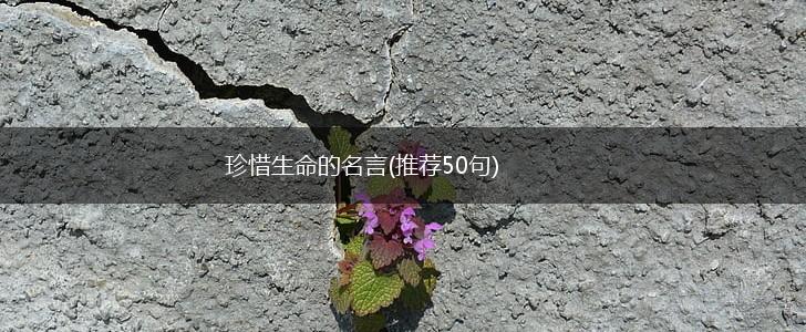 珍惜生命的名言(推荐50句),第1张