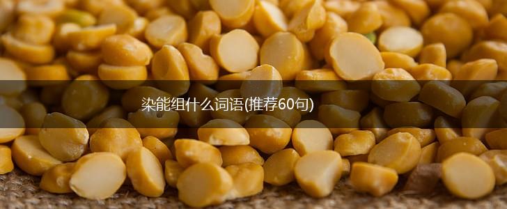 染能组什么词语(推荐60句),第1张