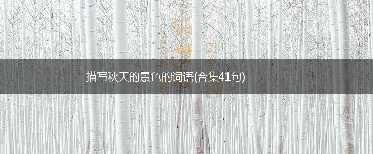 描写秋天的景色的词语(合集41句),第1张