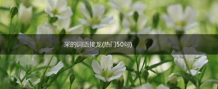 采的词语接龙(热门50句),第1张